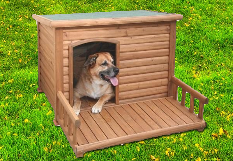 Comment choisir une NICHE pour chien ? Réglementation et conseils Comment choisir une NICHE pour chien ? Réglementation et conseils
